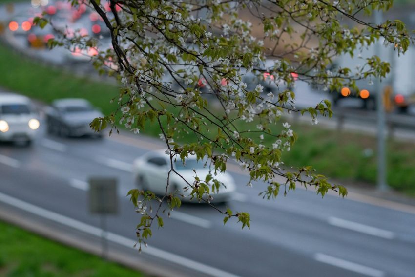 Manutenzione auto primavera, cosa controllare?